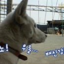 일이칠 이미지