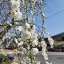 도화민박 이미지