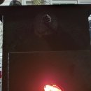 중앙탑펜션 이미지