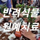 양동 경로당 이미지