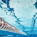 대구체육고등학교 이미지