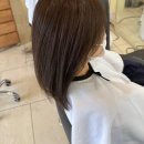 다연 | 투명한 애쉬브라운 컬러 전문가 준오헤어 kbs 별관점 다연쌤 후기