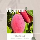 농업회사법인 주식회사 미래 이미지