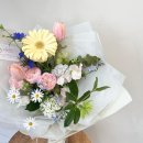 데이지데이플라워스튜디오 네이버블로그