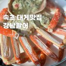 강남활어 | 속초 현지인 추천 대게 맛집 대포항 횟집 강남활어 방문 후기