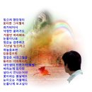 눈물나게 보고싶다 / 박호선 이미지