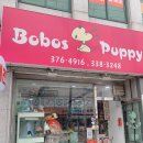 보보스퍼피 이미지