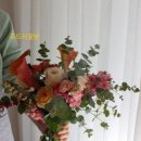 주드리꽃방
