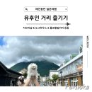 도그하우스 애견샵 이미지