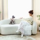 나나비펫 이미지