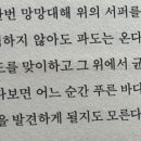 작은숲 이미지