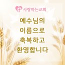 인천시 남구 관교동에서 새가족으로 등록하셨습니다. 이미지