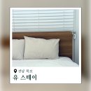 (유)평화점 현대자동차 | 목포 펜션 가성비 숙소 추천 평화광장 근처 유스테이
