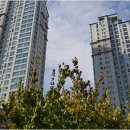 갤럭시부동산중개 이미지