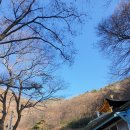 함안 장춘사 석조석가여래삼존좌상 | 함안 9경중 7경 무릉산 장춘사. 함안 가볼 만한 곳