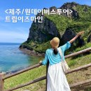 이즈마인 | 제주도관광 뚜벅이 원데이 버스투어 추천 트립이즈마인 (또예약)