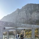 원앤온리 | 여기가 제주도야? 소리 나오는 분위기 끝판왕 서귀포 카페 : 원앤온리 솔직 후기!