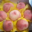 청수농원 이미지