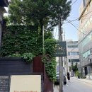 서울여자기독교청년회 | [서울 역삼] 감정적인 오렌지들, 업계 1위 로테이션 소개팅 후기 (내돈내산, 매칭 성공 팁)