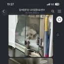 VIP동물의료센터 동대문점 이미지
