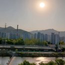 중랑천 뚝방길 (옥외9) | 25년 4월 마금회(4월 25일, 금)