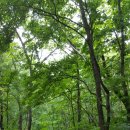 홍천(양양) 이미지