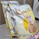 우리 길고양이들 사료 전연령 캐츠랑 리브레로 교체해 봤어요(f.길고양이 사료추천