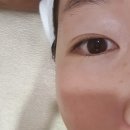 불당동피부관리 럭셔리 엘르시아