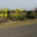 제주노른자부동산중개 이미지