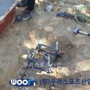 이수초등학교 이미지