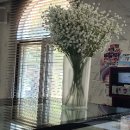 아미스카페 이미지