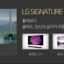 입주팡팡