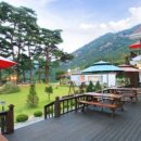 솔향기힐링펜션 이미지