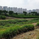 독정천 이미지