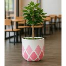 모던레시피 이미지