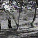 민둘이목장 이미지