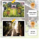 남산1동주민센터 | 대구 중구청 소식지 1월호 - 『 꿀팁 』