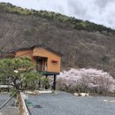 마음애고향 이미지