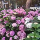 와우사우나(피트니스) 이미지