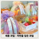 세종 나성동 자연을담은과일, 푸드박스 1호 후기와 과일바구니 추천!