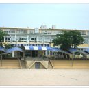 선암초등학교 이미지