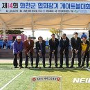 위라리인조구장 이미지