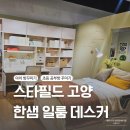페드라일룸스타필드고양 | 초등아이 방 꾸미기 스타필드 고양 일룸, 한샘, 데스커 방문후기