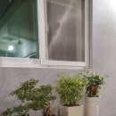 도깨비여관 이미지