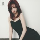 리즈 카카오 검색결과