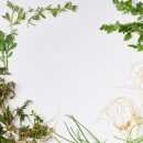 생기가득한방병원 이미지