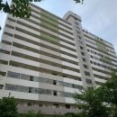 백마온누리약국 이미지