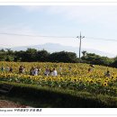 김경숙농장 이미지