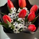 주정차76 이미지