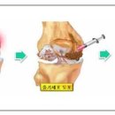 (주)셀네이처 이미지